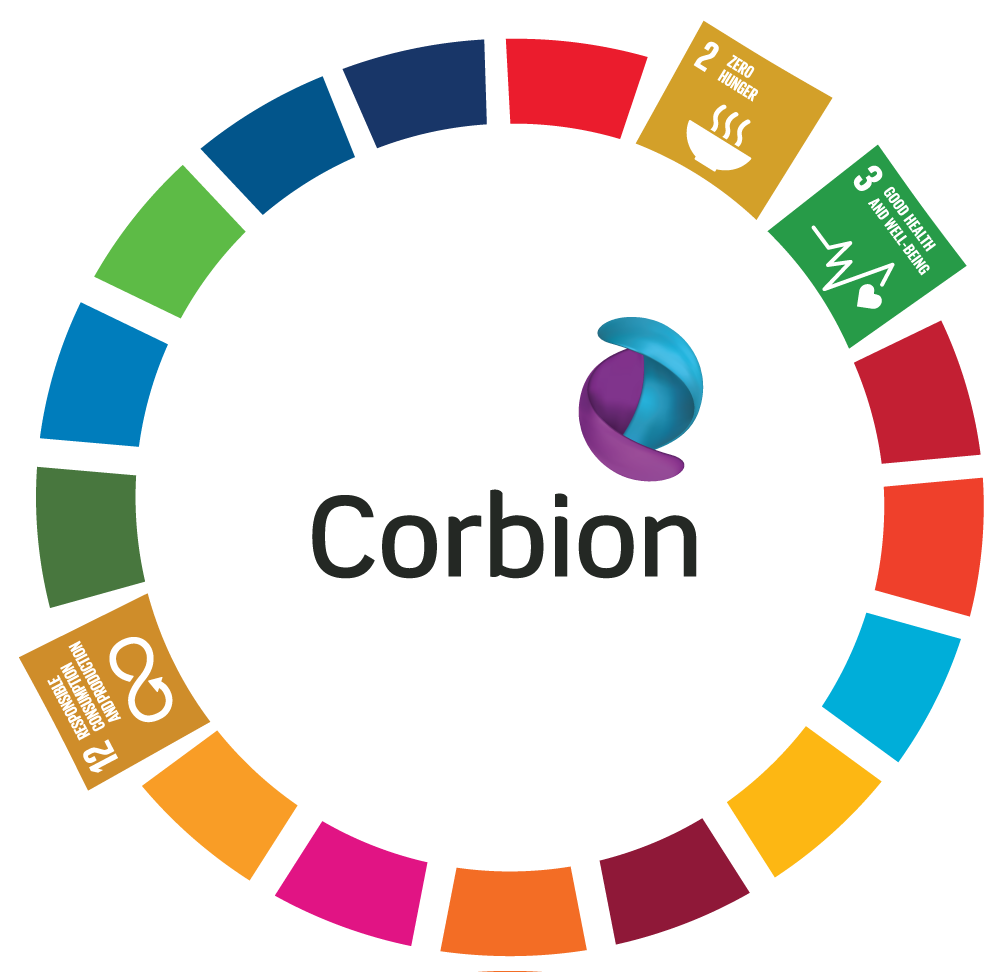 SDG-framework-wheel-3-icons2